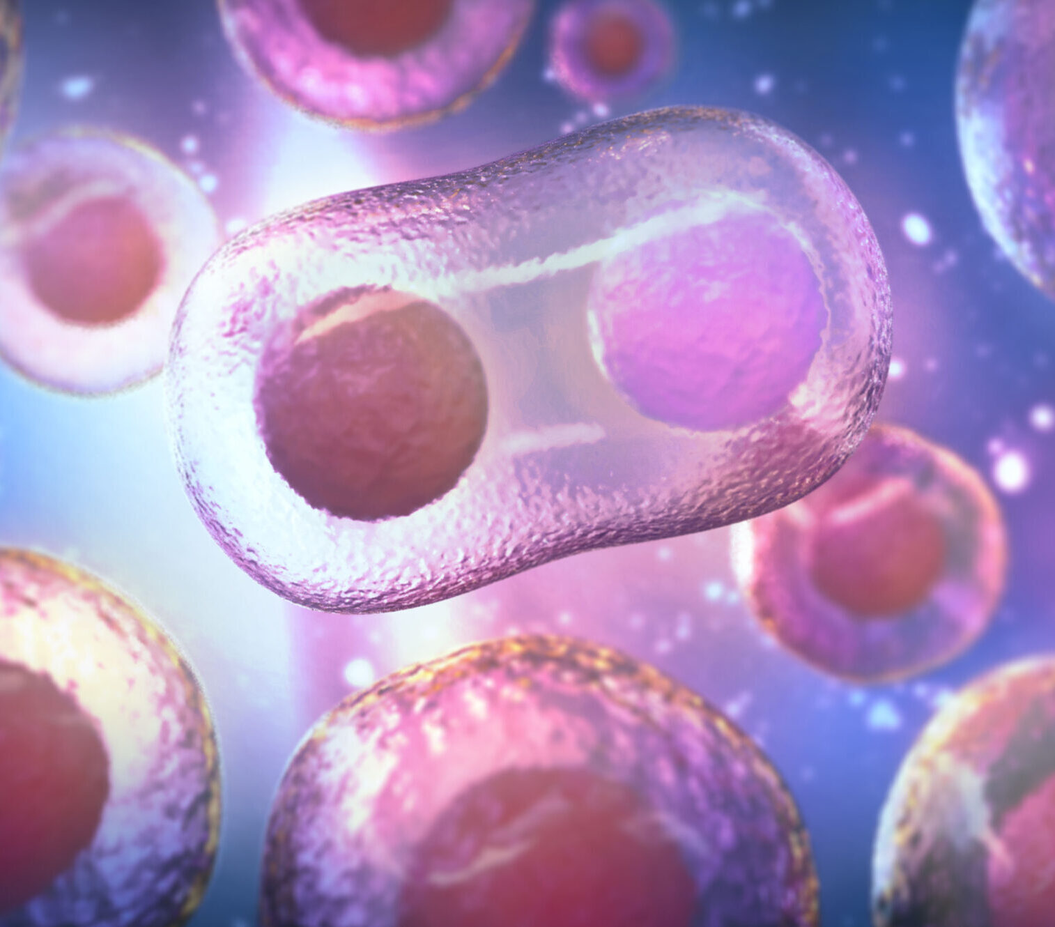 Silver: Stem Cell Stimulation