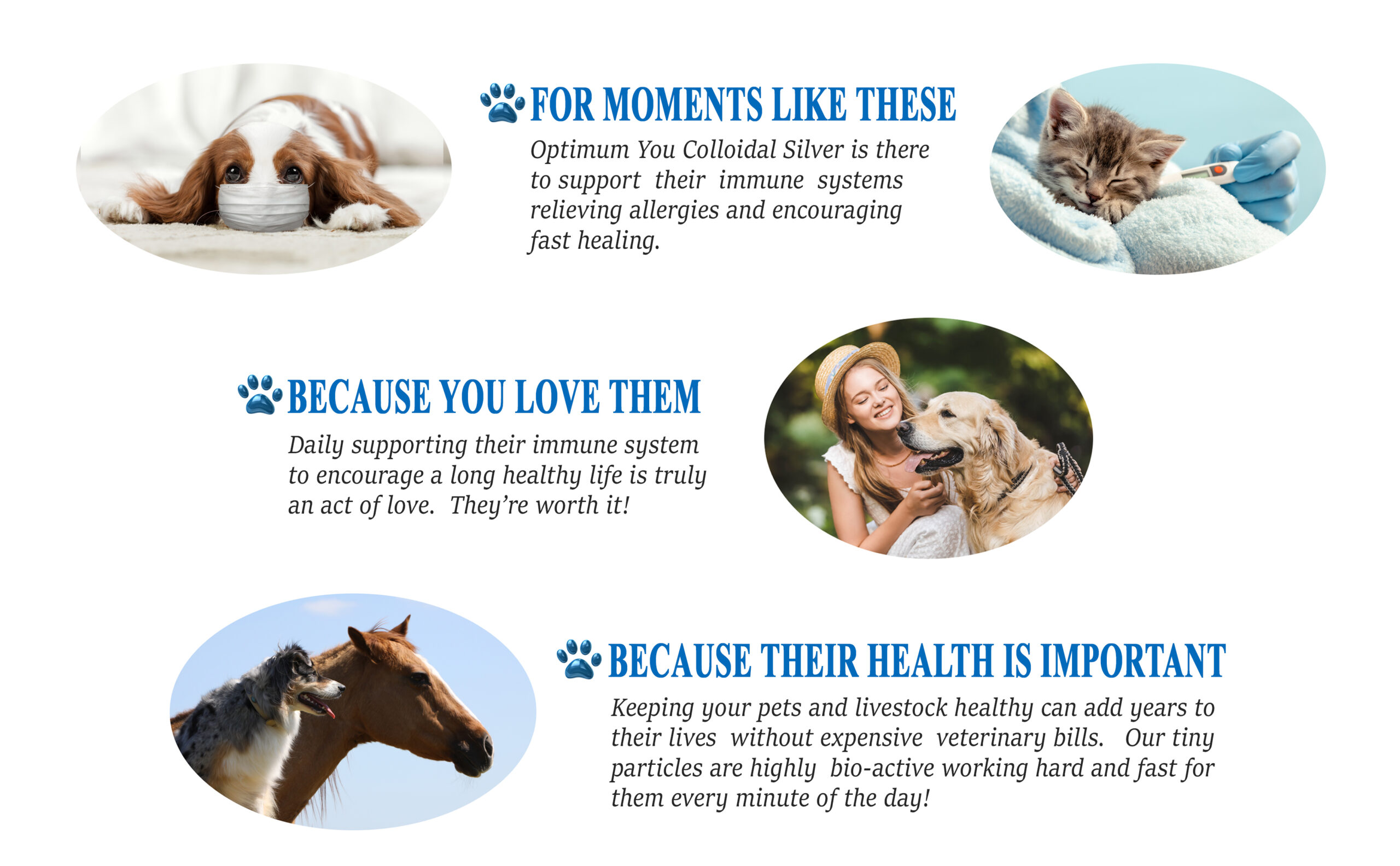 Optimum You Colloidal Silver For Pets, 500 ppm