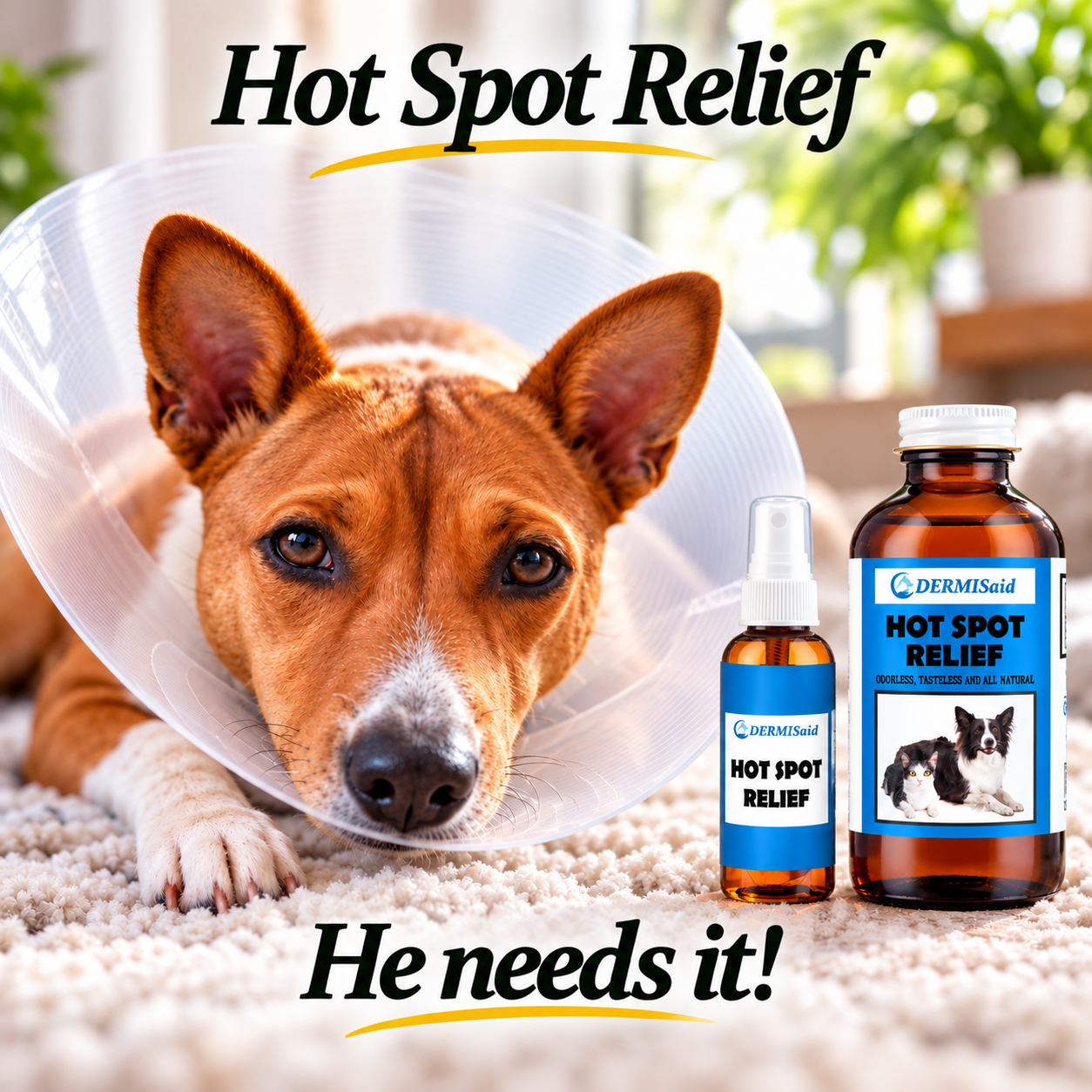 DERMISaid Hot Spot Relief: For Pets that Need It!